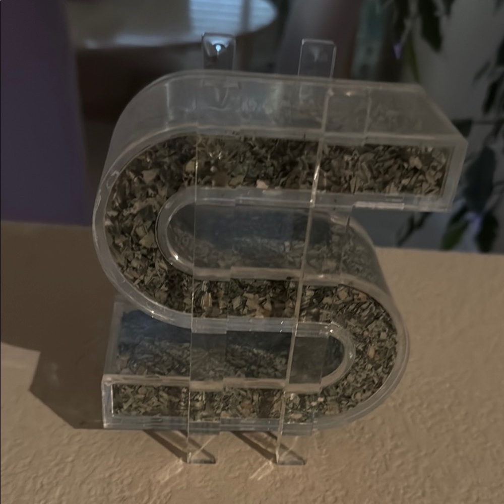 Clear Dollar Sign Money Bank